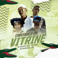Crocodilo da Vitrine_YEEZY BAG,Jabs,mc neguinho jd,MC Neguinho JP