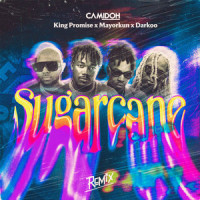 Sugarcane_Camidoh,Mayorkun,Darkoo,King Promise