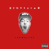 Where Do I Go(feat. Sarah Connor)_Bigredcap,Sarah Connor