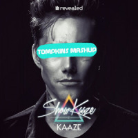 Freedom Summer (TOMPKINS Mashup)_TOMPKINS,Kaaze