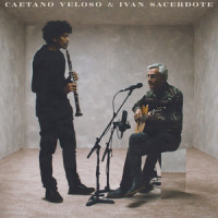 Você Não Gosta De Mim_Caetano Veloso,Ivan Sacerdote