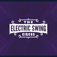 The Penniless Optimist_The Electric Swing Circus