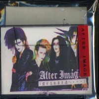 道化の華~偽り_After Image