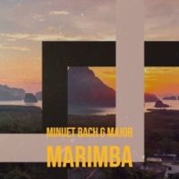 Zambia National Anthem Harp_Bobby Cole