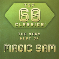I Just Want A Little Bit_Magic Sam