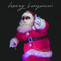 I F***ing Love Christmas_Hovey Benjamin