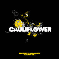 Cauliflower_dan le sac,Scroobius Pip,Kid A