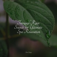 Thunder, Rains_Avslappning Sound,Sleepy Times,Relaxing Rain Sounds