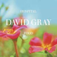 Smile Like You Mean It_David Gray