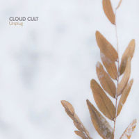 Chemicals Collide_Cloud Cult