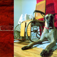 New Laws_Don Caballero