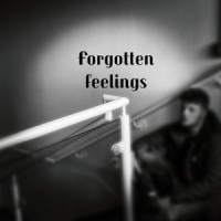 forgotten feelings (feat. cam)_lil pickle,Cam