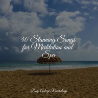 Rain Drops_Ocean Waves for Sleep,Sleep Sounds of Nature,Sleepy Times