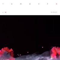 I'm Gone_Tamaryn