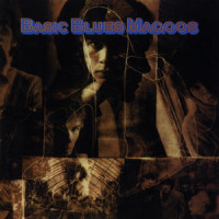 I Can Move A Mountain_Blues Magoos