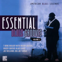 Come Baby_T-Bone Walker,Muddy Waters