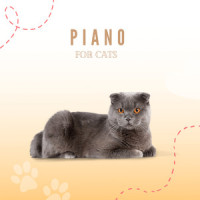 Liked By Alls_Piano Peace,Pet Music Therapy,Pets Love Music