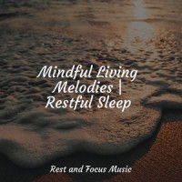 Easy Sleep_Meditation Zen,Binaural Beats Brainwave Entrainment,Spa