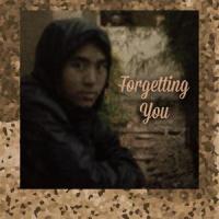 Forgetting You_Nicholai Silva