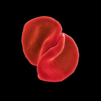The Boy In The Bubble_Peter Gabriel