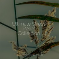 World in Flow_Mindfulness Meditation Universe,Sleepy Times,Deep Sleep Relaxation