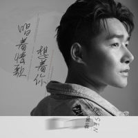 唱着情歌想着你_陈雅森