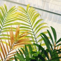 Wind_Sleepy Times,calm shores,Rest & Relax Nature Sounds Artists