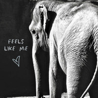 Feels Like Me_Gin Wigmore