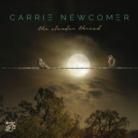 Sparrow_Carrie Newcomer