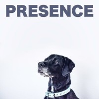For All There Could Be_Sleepy Dogs,Music for Calming Dogs,Music for Leaving Dogs Home Alone