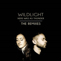 Save My Mind for Later_Wildlight,The Polish Ambassador,Ayla Nereo,Guy Edward