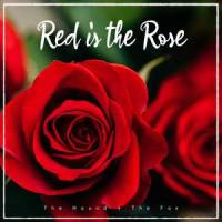 Red is the Rose_The Hound + The Fox
