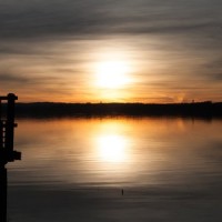 Calming Sun_Life Sounds Nature,Anxiety Relief,Pink Noise
