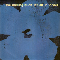 It's All Up To You_The Darling Buds
