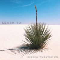 Learn To_PigPen Theatre Co.