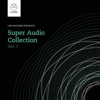 Fantasien, Op. 116 No. 2: Intermezzo in A Minor_Sivan Magen,Johannes Brahms