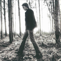 Silver Buttons_Charlie Mars