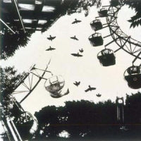 Aoitori_Plastic Tree