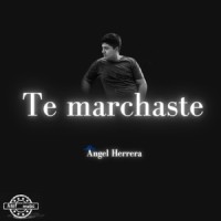 Te Marchaste_Angel Herrera