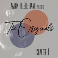 Together We Rise_Aaron Pelsue Band