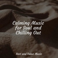 Lumination_Guided Meditation Music Zone,Spa,Ambiente