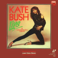 Violin_Kate Bush
