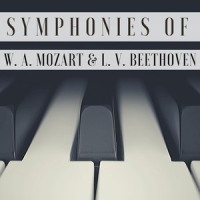 III. Allegro_Wilhem Kempff,Berliner Philharmoniker,Ferdinand Leitner