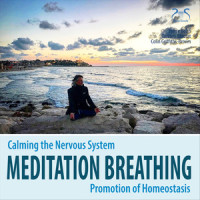 Relaxation Music for Breathing Exercises, Soothing Music for Homeostasis, Part 2_Pierre Bohn,Torsten Abrolat