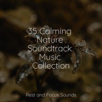 Nature's Lullaby_Spa,Spa & Spa,Natureza Musica Bem-Estar Academia