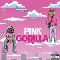Pink Gorilla_ClarkAirlines,Twista