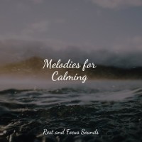 Chorus of the Tides_Namaste Yoga,Bath Spa Relaxing Music Zone,Spa