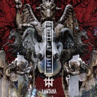 Obsession_Lantana