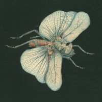 Invitation to the Voyage_Susanna feat. Giovanna Pessi,Ida Løvli Hidle,Tuva Syvertsen