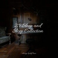 Rest in the Shadow_Piano Therapy,Classical Piano Music Masters,Piano Pianissimo
